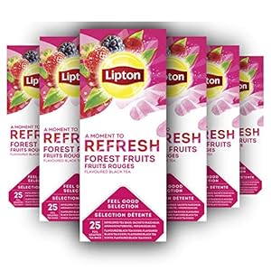 Lipton Bosvruchten Thee – 6 x 25 zakjes