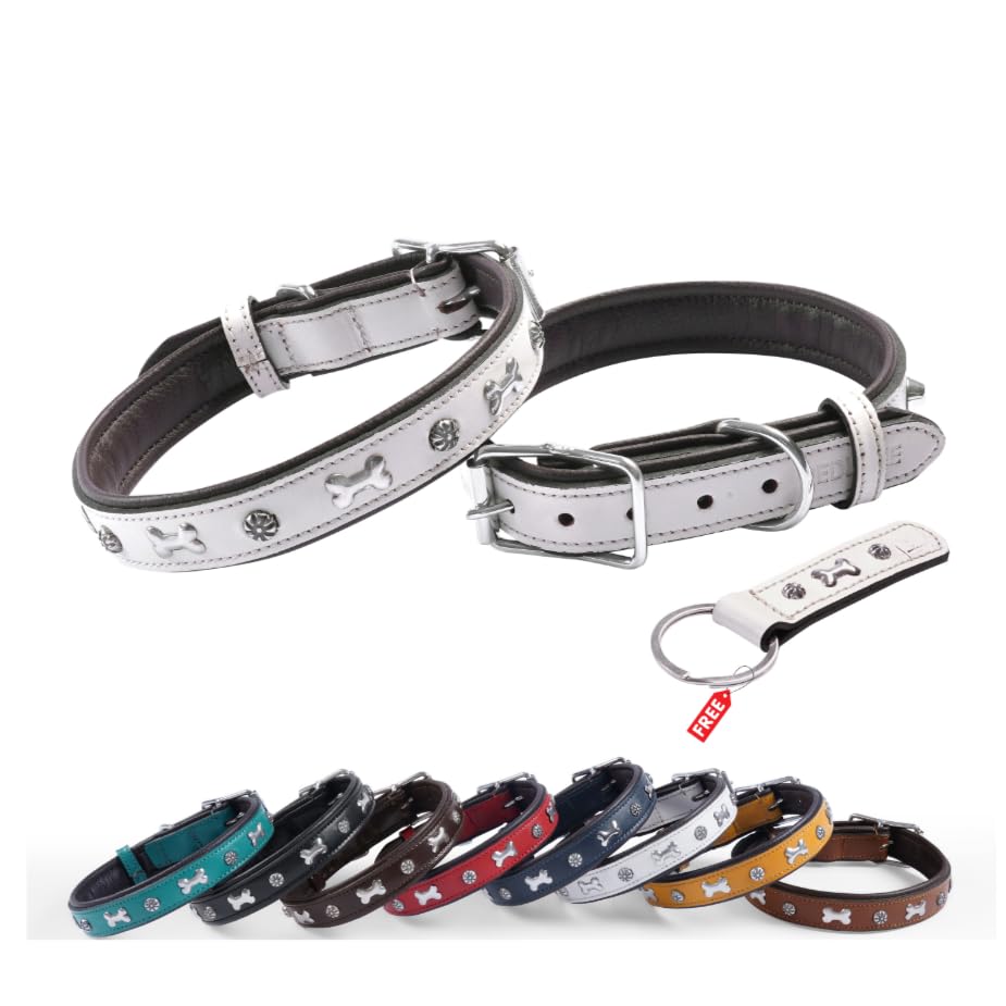 REDLUXE Genuine Leather Dog Collar with Bone Stud Design, Soft Padded Adjustable Pet Collar for Small, Medium & Large Dogs, Heavy Duty Metal Buckle & D-Ring,Free Matching Keyring (WHITE, XL)
