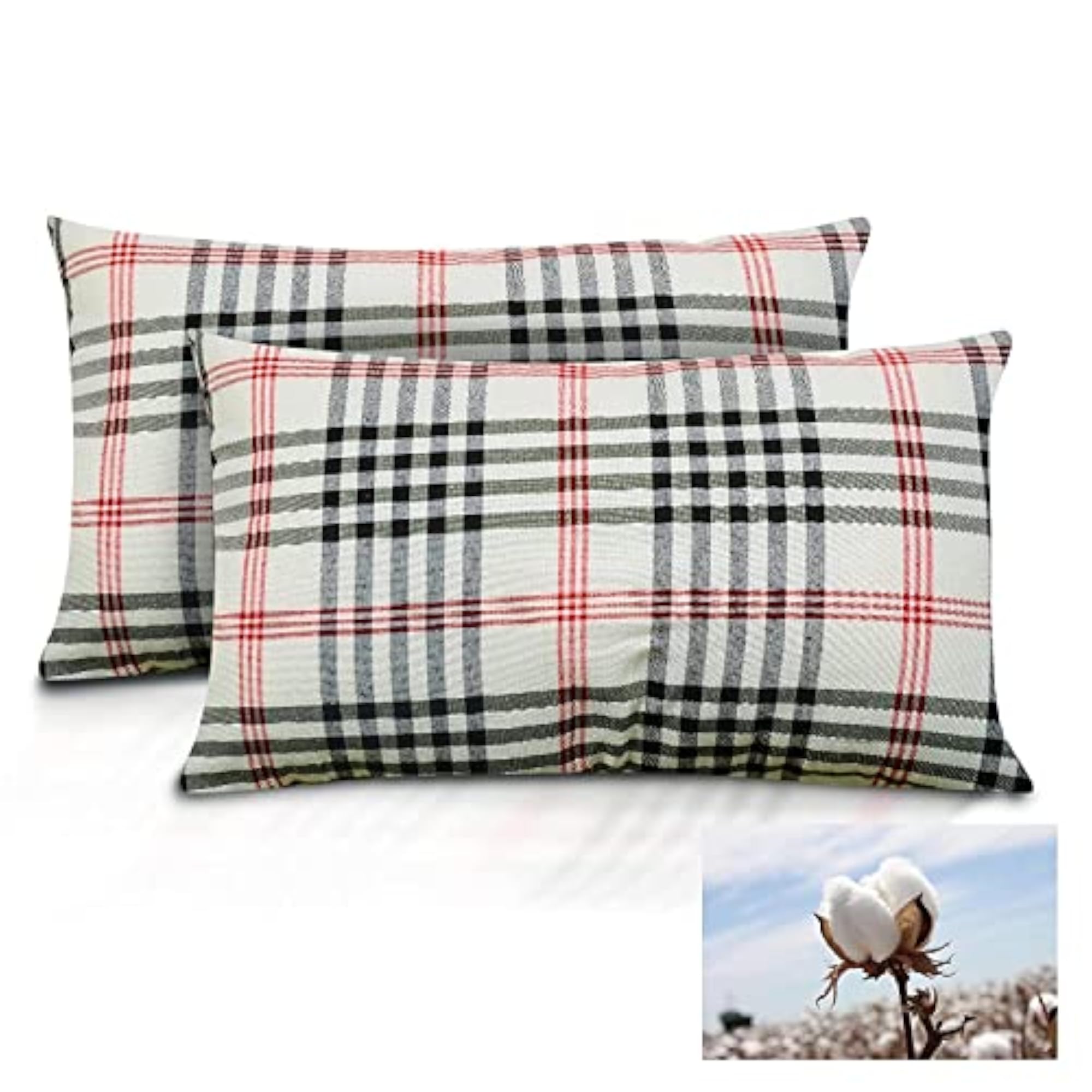 Set of 2 Organic Cotton Filled Standard Pillows