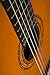 Washburn Classical C5, Acoustic Guitar