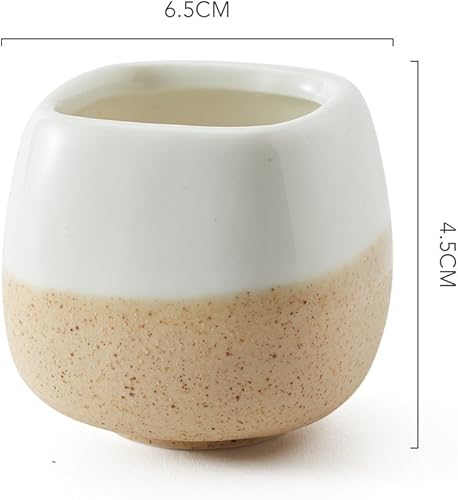 Miniatura 5 de SUN-E Juego de 5 macetas de 2.2 pulgadas de cerámica con esmalte fluido, base de cinco colores, juego de serie para suculentas, macetas, cactus,