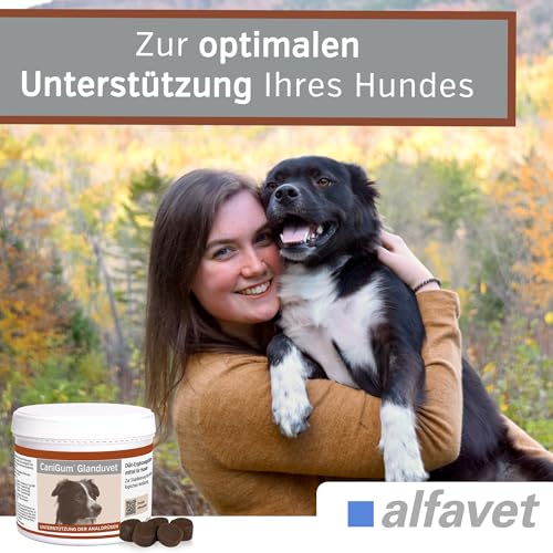 alfavet CaniGum Glanduvet, Kaudrops für Hunde bei Analdrüsenverstopfung, unterstützt Kotqualität und Darmwohl, Diät-Ergänzungsfuttermittel, Analdrüsenkur für Hunde 300 g