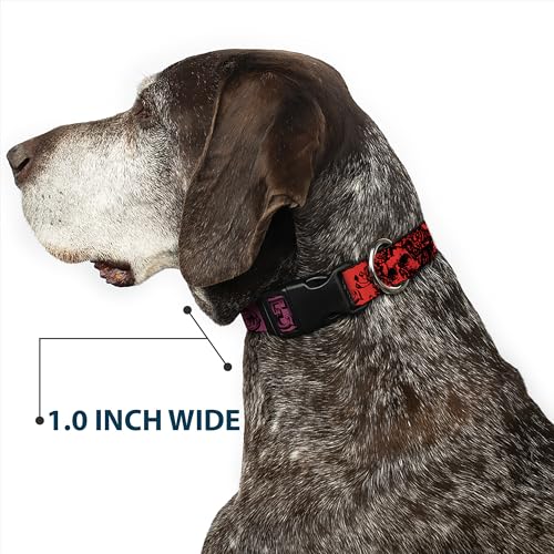Dog Collar Plastic Clip Grateful Dead Text Skull Roses Rainbow Fade 18 to 32 Inches 1.5 Inch Wide by Buckle-Down - Image 6