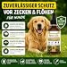 Animalea - Zeckenschutz für Hunde Spot On - effektiver Schutz gegen Zecken, Flöhe & Mücken für die gesamte Saison - Zeckenmittel für Hunde 50ml - Zeckenabwehr mit Neemöl & ohne Nervengift