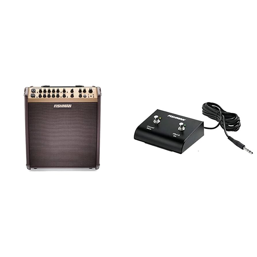 fishman18本セット Fishman Loudbox Artist BT 120-watt 1 x 8-inch Acoustic