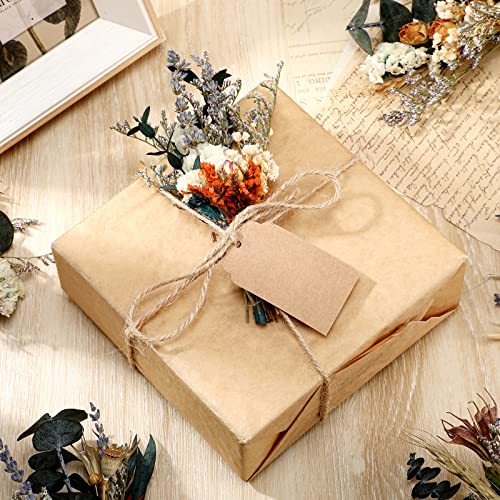 Fabbay FM-20230329=7-A 6 Pcs Mini Dried Flower Bouquets Boho Wedding Dried Flowers thumb #5
