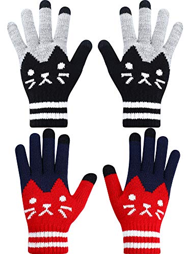2 Pairs Winter Touch Screen Gloves Warm Knit Gloves Phone Touch Gloves for Women (Black, Red)