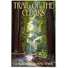 Lantern Press 36x54 Inch Giclee Print, Glacier National Park, Montana, Trail of the Cedars