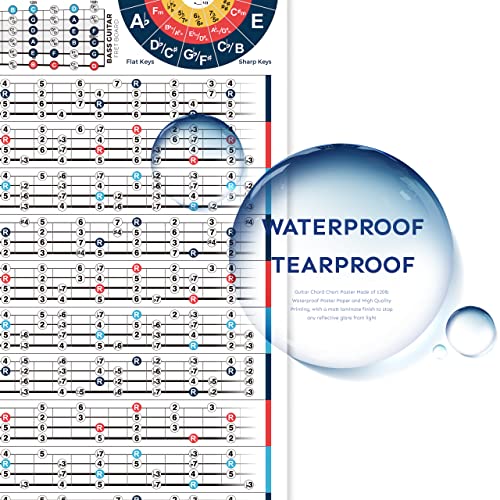 Bass Scales Chart Poster For Beginners, Master Bass