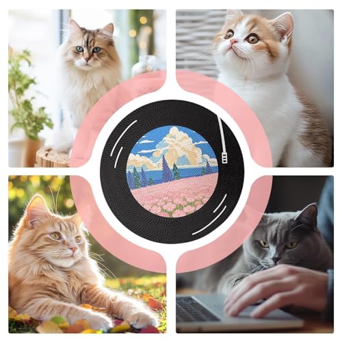 Planche à gratter pour chat sous forme de tapis mural rotatif multi-pièces - 5