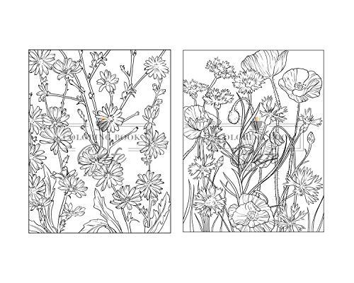 100 Beautiful Flowers Coloring Book: An Adult Coloring Book Featuring 100 Beautiful Flower Designs I