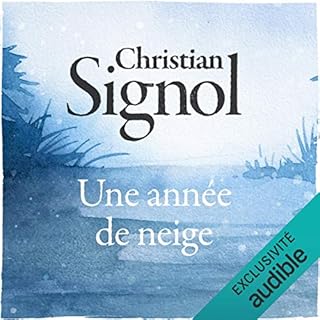 Couverture de Une année de neige