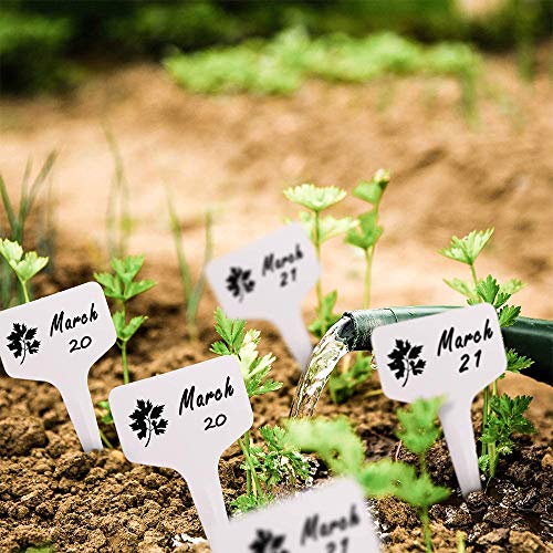 Moonsound LABEL-WHITE-200 200Pcs Plant Labels, Seed Remark Name Sign thumb #6
