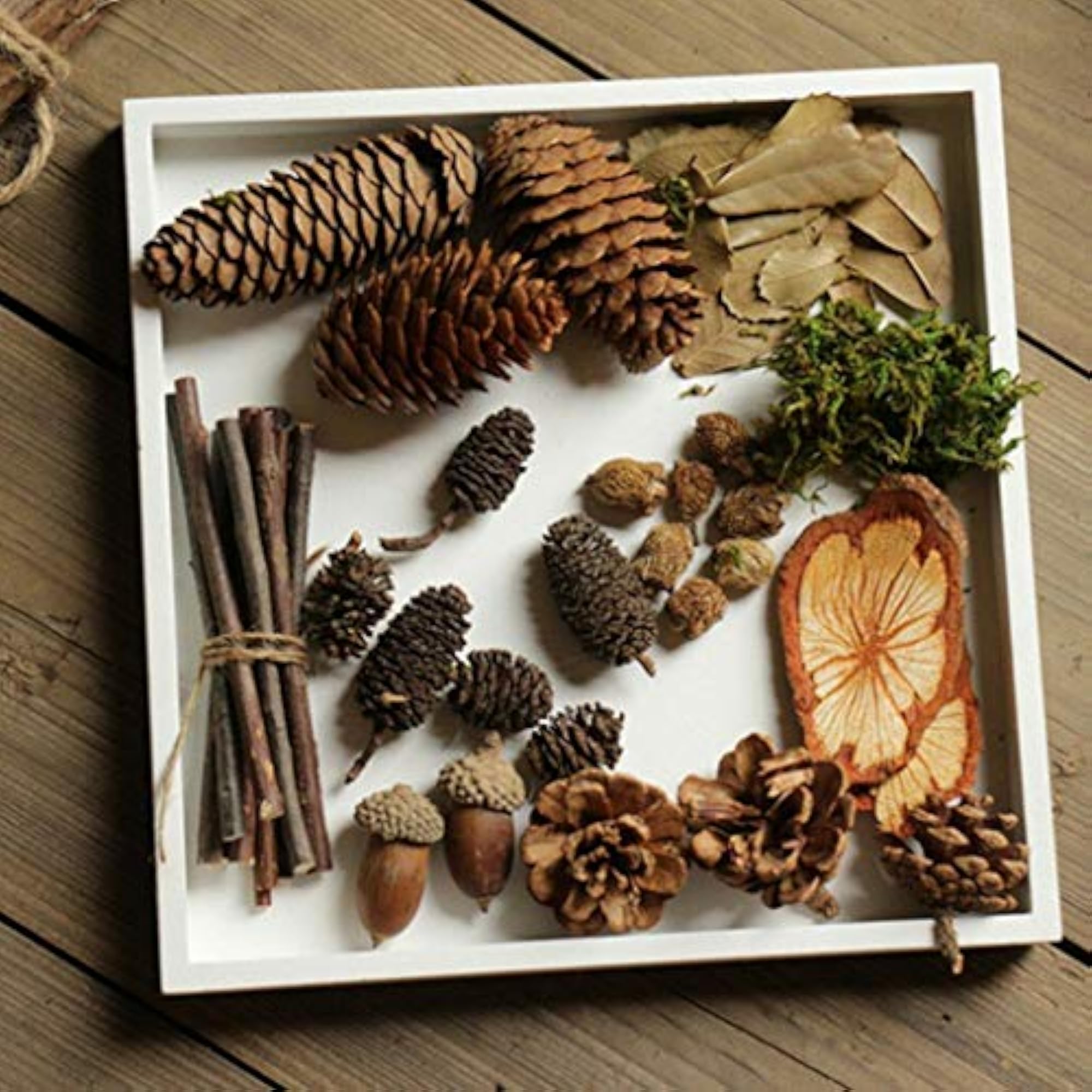 Rustic Dried Acorns for Home Decor
