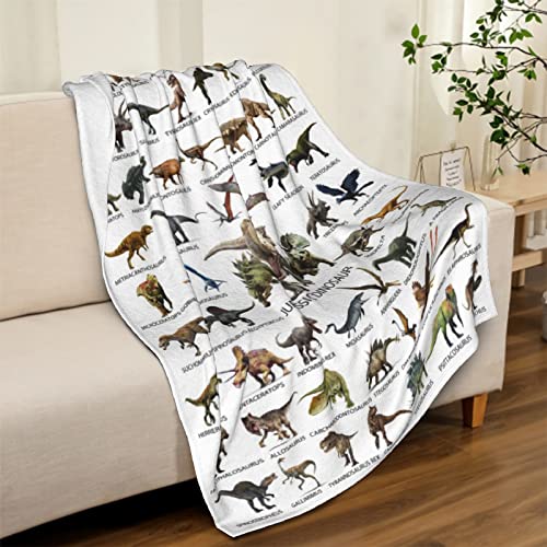 Kids Jurassic World Park Dinosaur Blanket For Boys Girls Room Decor, Cute Cool Dino Toddler Sofa Bed Plush Throw Personalized Blanket, Chiristmas Toys Halloween Birthday Gifts Presents 50X60 Inches #TOP6
