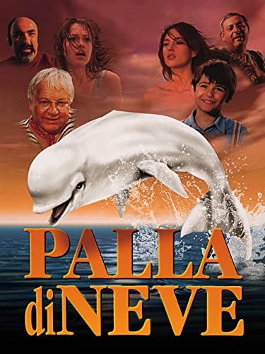  Palla di neve