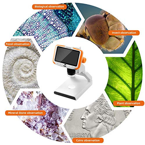 Stpctou Lcd Digital Microscope Usb Coin Microscopes 5 Inch Fhd 1080P Screen 200X Magnification Zoom Camera Video Recorder For Adults Kids Stamps Plants Soldering With Base Light Sample Slides #TOP1