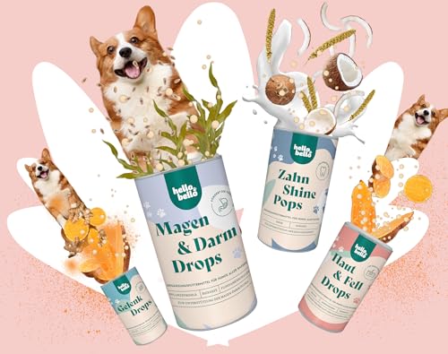 HELLOBELLO Kaltgepresste Haut & Fell Drops für Hunde 2X 350g mit B-Vitaminen & Omega 3 - Glänzendes Fell für Hunde - Für glänzendes Fell Hund, Hautprobleme Hund