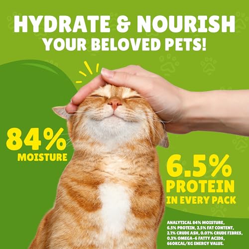 Purina Friskies Chicken Chunks in Gravy Wet Cat Food Pouch 85g