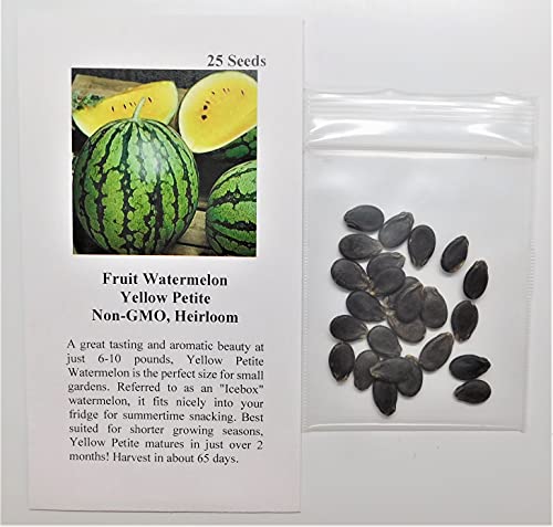 Fruit Watermelon Yellow Petite Fba-9832 (Yellow) 25 Non-Gmo, Heirloom Seeds #TOP1