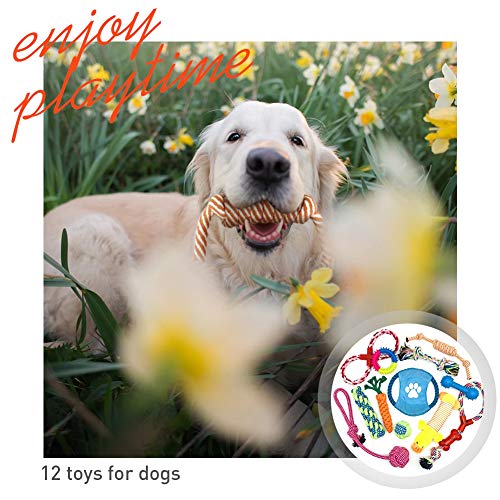 handfly 12 pcs Conjunto de Brinquedos para Cães Filhote de Cachorro de Algodão Corda de Brinquedo pa
