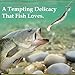 40pack Fishing Jig Heads Set with Hooks Box, Fishing Soft Lures Hooks for Crappie Bass Trout, Saltwater Freshwater Fishing Tackle Kit, 1/8 oz, 3/16 oz, 1/4 oz, 3/8 oz, 10pcs Each Size