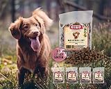 Dibo Barf Leckerli, 200g Pferd, Wild, Strauß, Lamm, Ente Hundesnack klein und praktisch Trainings Hundeleckerlies zuckerfrei, gesund und lecker (Ente)