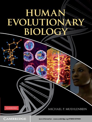 Human Evolutionary Biology