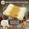 Pilxerai Cat Q Tip Toy, Cotton Swabs Cat Toys with Catnip, 6 Pk Giant Q Tip Cats Toy for Boredom Durable Dental Teething Ropes, Big Interactive Felt Kitty Kicker Play Lover Gift Accessories (A) #4