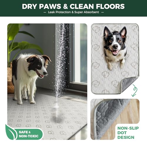 Image of FXW Washable Pee Pads for Dogs, Leak-Proof & Non-Slip, Specifically Designed for Potty Training, Square, 39 inch x 39 inch, 2 Packs