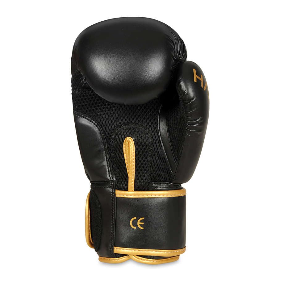 B-2v17-14oz - guanti da box,