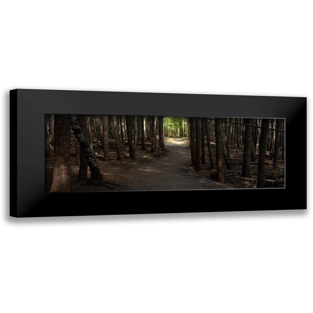 ArtDirect - McLoughlin, James 18x9 Black Modern Framed Art Print Titled: Country Road Panorama VII