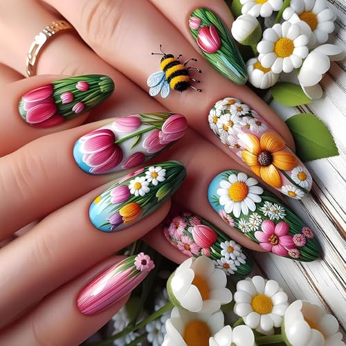 24 PCS܂Ɍ̂vXfGȉԂ̒܂̒̔}̋U̒ܐHlH