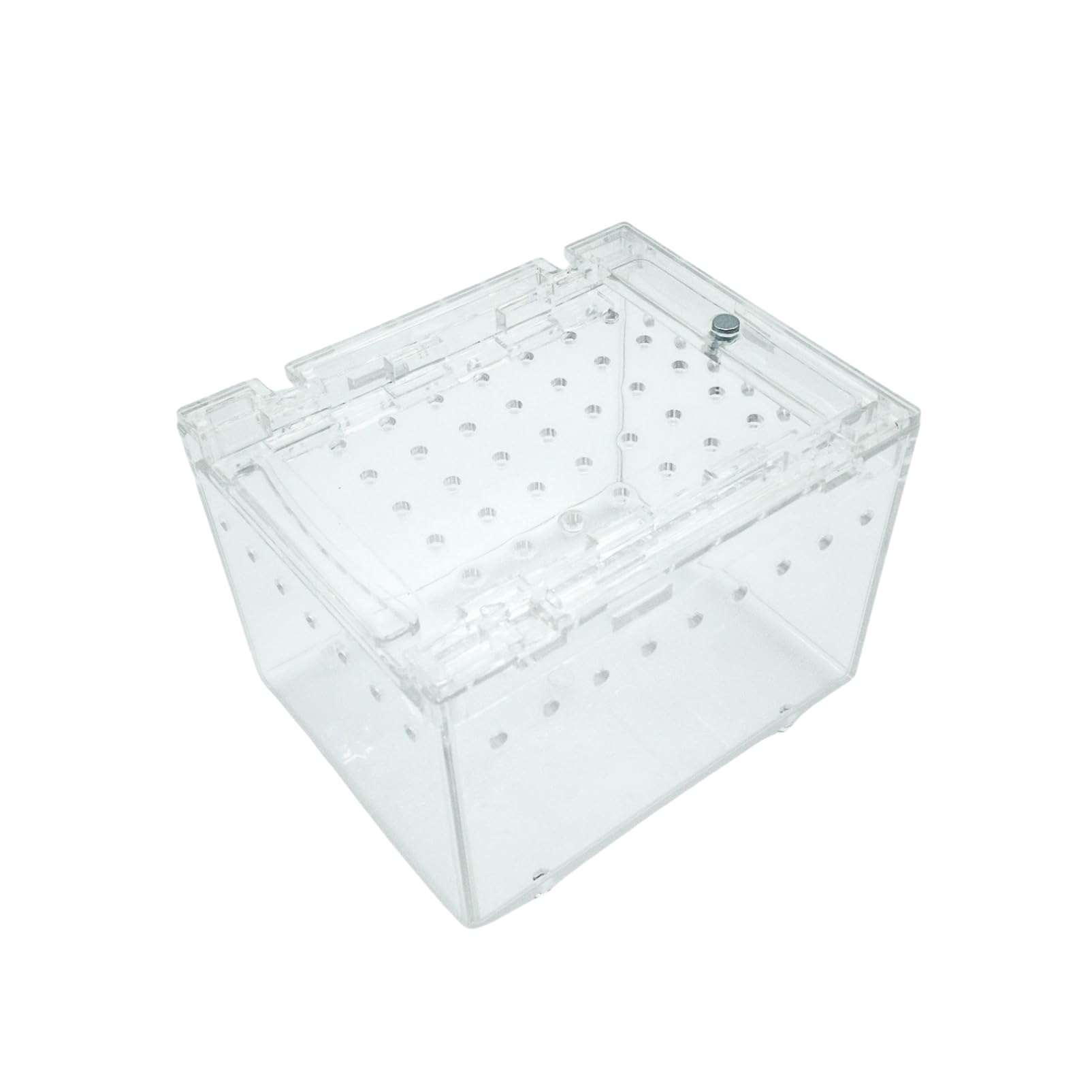 Amazon | COZENTA 爬虫類 ケージ シェルター アクリル製 トカゲ 蛇