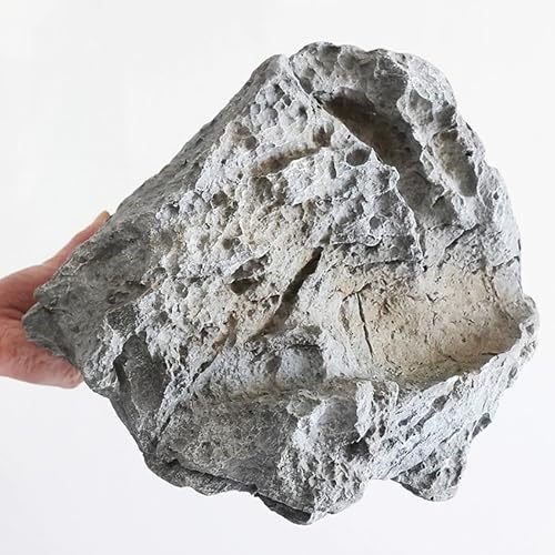 yʃtFCNbN, RȎ̐lH, EOɍœK, eiXsv(13.7x9.8x10.2in/35x25x26cm)