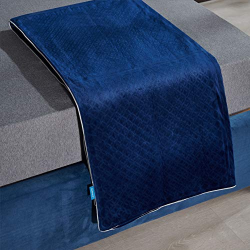 Bedsure Queen Weighted Blanket 15 Pounds - Adult Weighted Blanket 60x80 - Soft Heavy Blanket with Breathable TPE Insert No Glass Beads