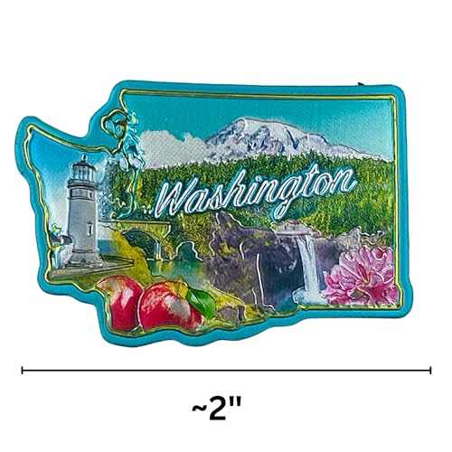 Imán decorativo para refrigerador Washington pequeño miniatura 5