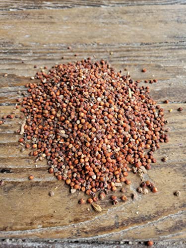 Ernst Grain Milo Red Sorghum 25lbs