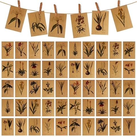 50Pcs Vintage Lily Flower Postcards Set Cover