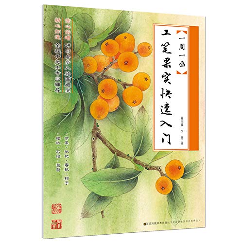 工笔果实快速入门/一周一画