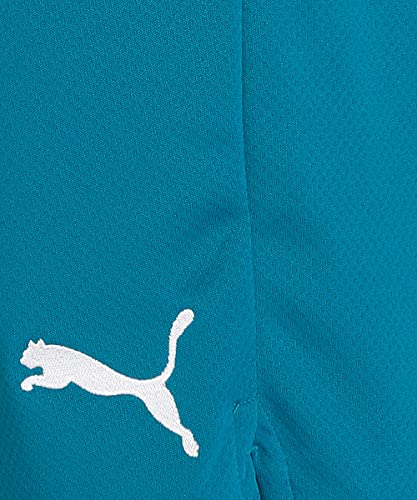 Image of PUMA Men Shorts
