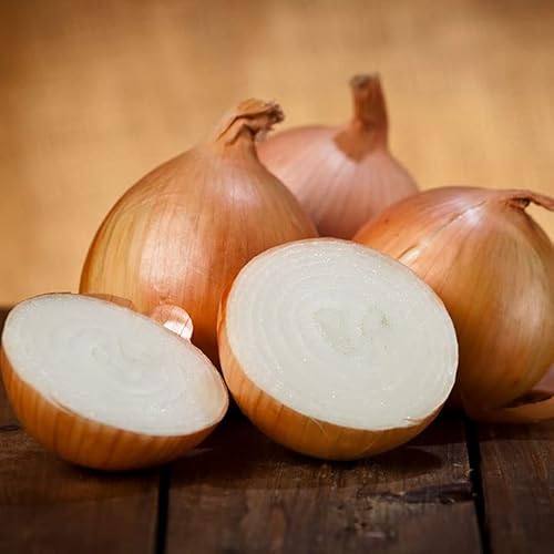 ʂ˂ 10kg@kC@xǖY@ʔK@󂠂@PO