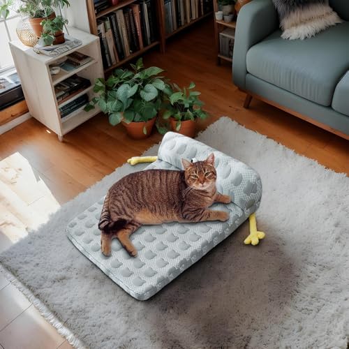 Lit rafraîchissant pour chien auto-refroidissant et housse lavable pour chat