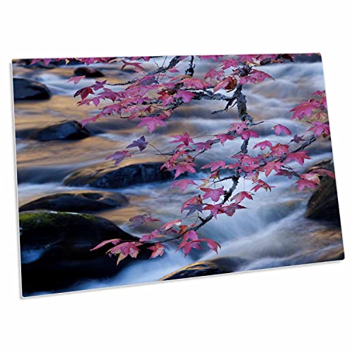 3dRose USA Smoky Mountains Desk Pad 23x16in Rubber