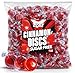 Sugar Free Cinnamon Hard Candy, 1 lb. Bag – Individually Wrapped Cinnamon Candy Discs, Old Fashioned Sugarless Candy for Candy Bowls, Office Snacks & Sharing