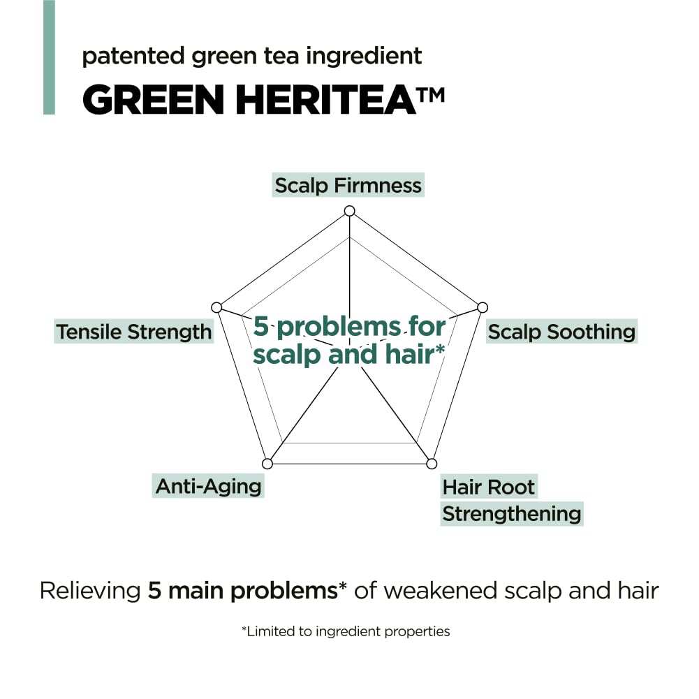 AMOS PROFESSIONAL The Green Tea Shampoo Refresh for Thinning Hair, Korean Shampoo for Oily Scalp l Deep Cleans, Strengthening Hair, All Hair Types, 16.9 fl. oz. - Image 6