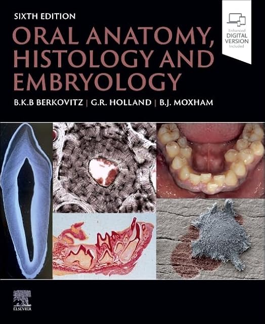 Portada de Oral Anatomy, Histology and Embryology