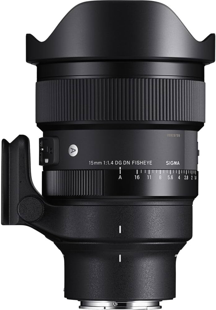 ★美品★SIGMA シグマ 8mm F4 D EX DG FISHEYE ニコン ☆美品☆SIGMA シグマ 8mm F4 D EX DG FISHEYE ニコン SIGMA(シグマ)の