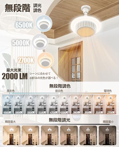 ONRIU 天井取り付け型シーリングライト一体電気ファンヒーター LN001 の商品画像 3