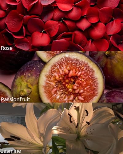 Image of TOXICMALE Flowerbomb + Bombshell | Perfect Long lasting Women's perfume for Daily use| perfumes for Women | Gift for her | TMA22 | 50 ml perfume | TM Perfume House